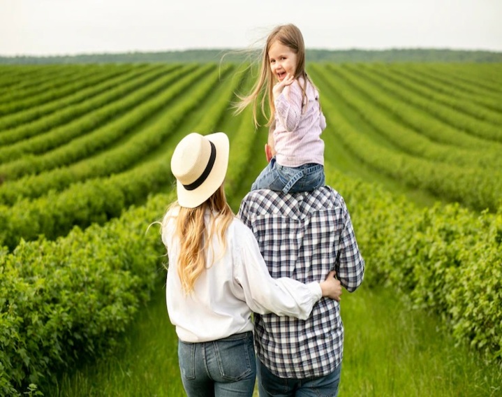 Governança e planejamento sucessório do produtor rural